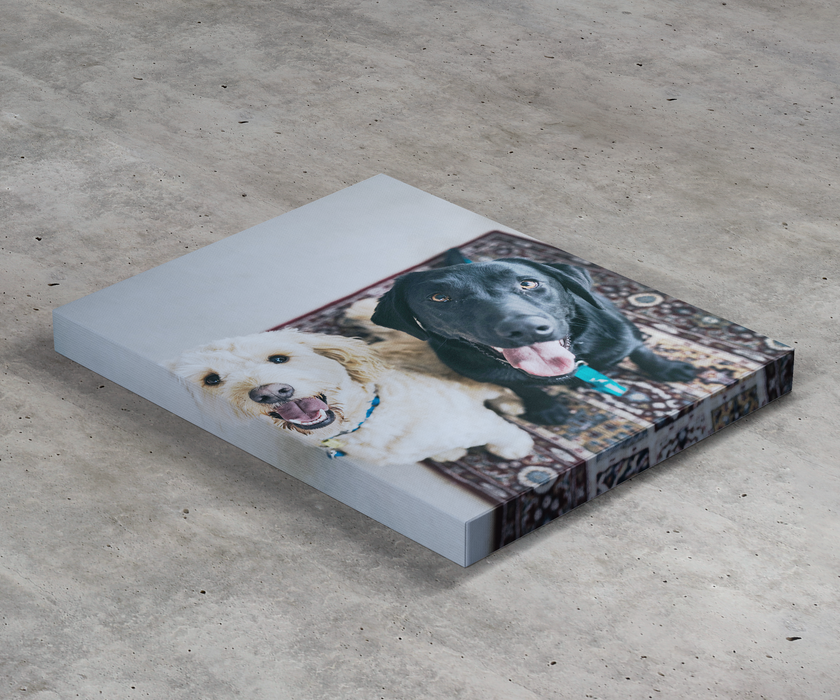 Single Canvas Print